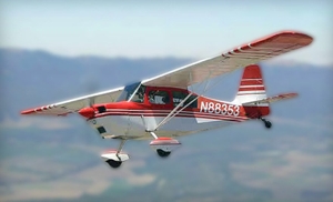 Up to 55% Off Aerobatic Flight for One or Two