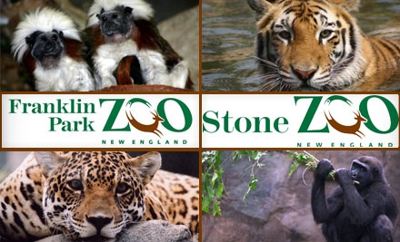 Zoo-new-england3